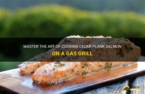 cook salmon flank on gas grill